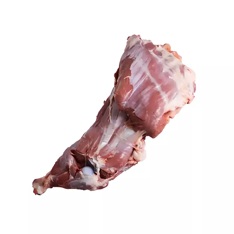 سردست گوسفندی