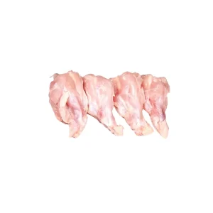 کتف مرغ