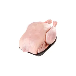 مرغ تازه