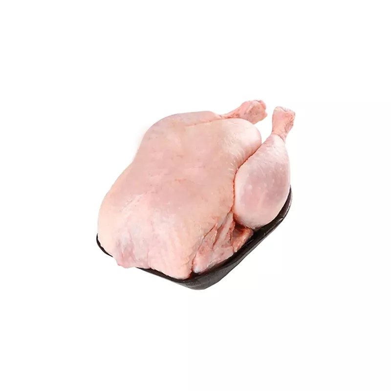 مرغ تازه